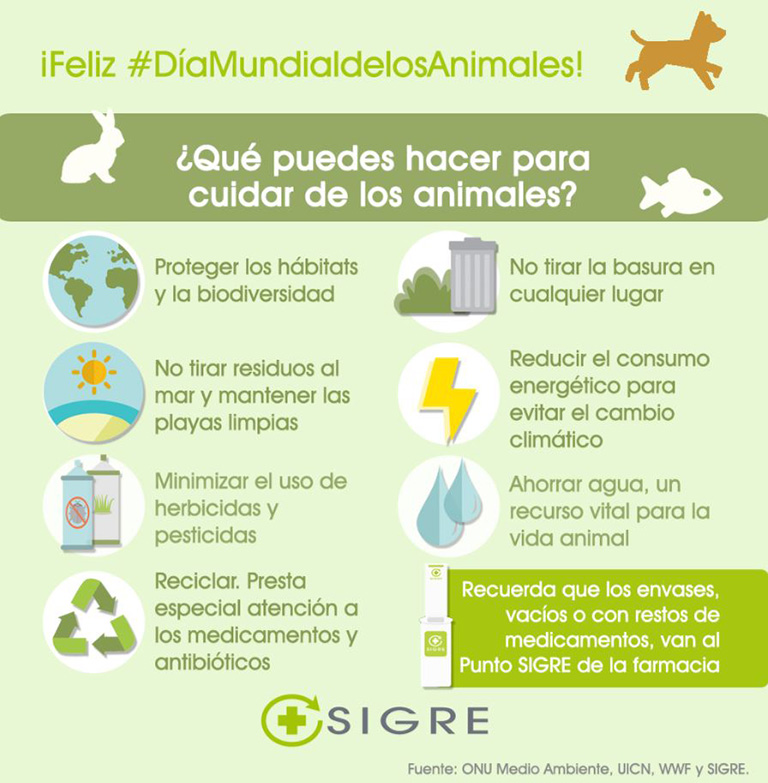 Blog-Entrada-animales-4