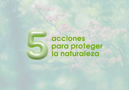 BLOG SIGRE